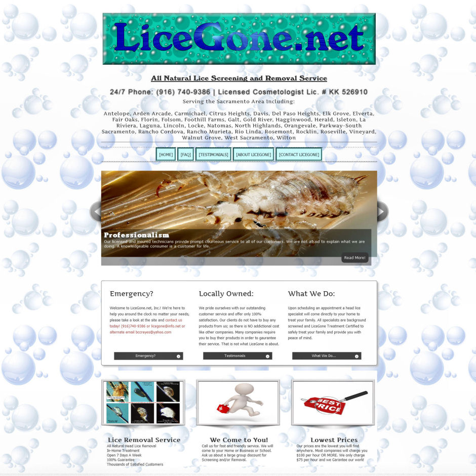 LiceGone Page