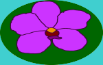 image holder
